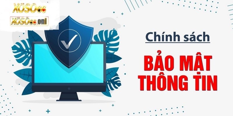 Chính sách bảo vệ thông tin cho người mới